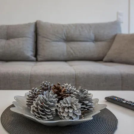 Pejakovic 1 By Interhome * Vir