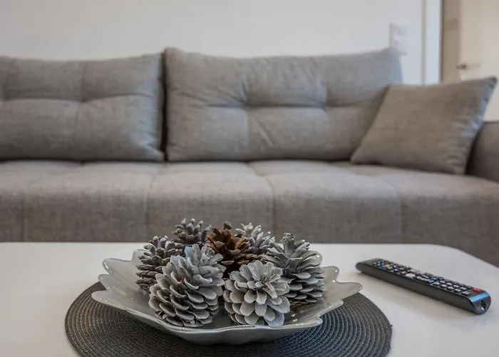 Pejakovic 1 By Interhome * Vir